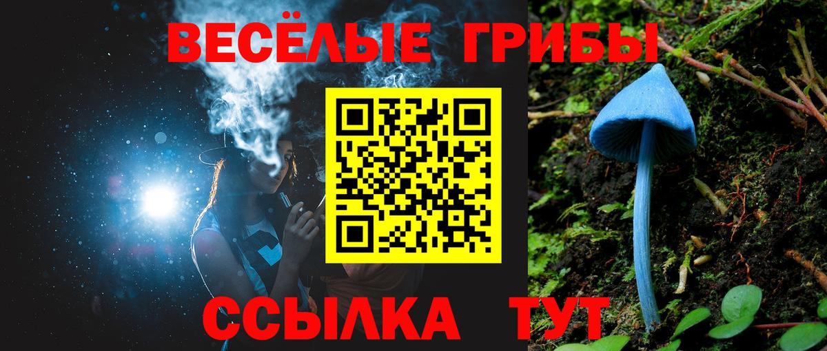 Галлюциногенные грибы GOLDEN TEACHER  Галлюциногенные грибы MAGIC MUSHROOMS  Вход с VPN  Ростов-на-Дону 